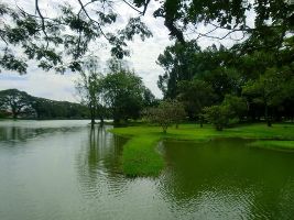 Taiping Lake Gardens