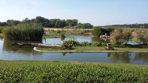 Wasit Wetland Center 