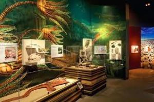 Raymond M. Alf Museum 