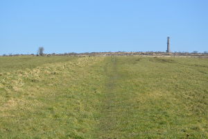 Cornwall Area Of Outstanding Natural Beauty