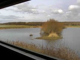RSPB Old Moor 