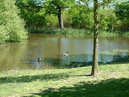Lake Farm Country Park