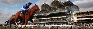 Newmarket Racecourse