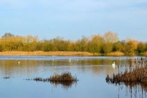 Irthlingborough Lakes And Meadows
