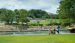 Robin Hill Country Park