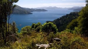 Queen Charlotte Track