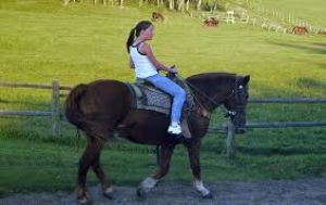 Riding Mountain National Park