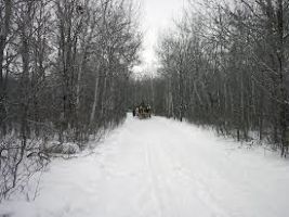 Birds Hill Provincial Park