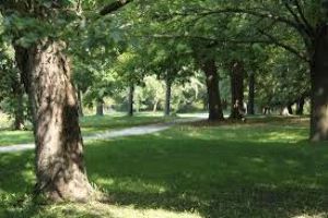 Boyd Conservation Area