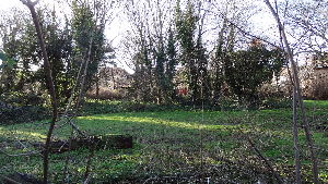 Litten Nature Reserve 