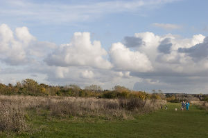 Northfleet Urban Country Park