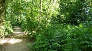 Marbury Country Park