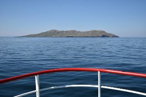 Sea Life Sunshine Coast