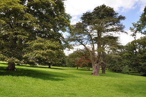 Ilam Park    