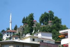 Rize Castle