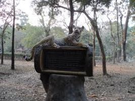 Jaldapara National Park