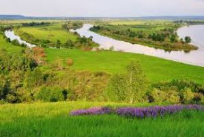 Nizhnyaya Kama National Park  