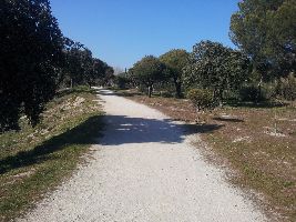 Cuesta Del Reventon Park