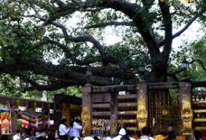 Himalaya Nyingmapa Buddhist Temple