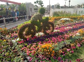 Riverfront Flower Park