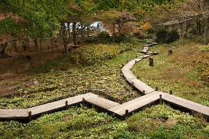 Alpine Botanical Garden
