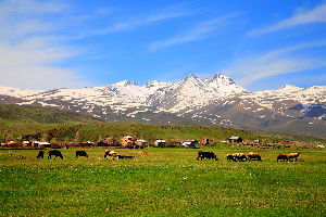 Mount Aragats 