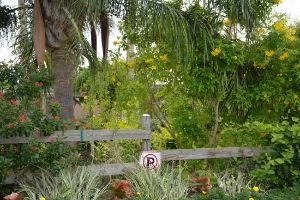 South Texas Botanical Gardens And Nature Center