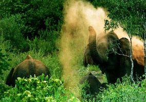 Ulipooni Wildlife Sanctuary