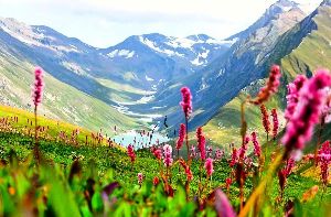 Hemkund Trek With Valley Of Flowers