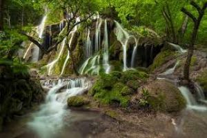 Nera Gorge-Beusnita National Park