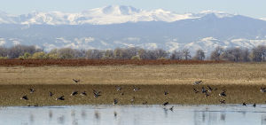 Barr Lake State Park