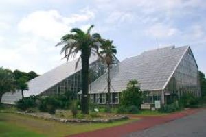 Tsukuba Botanical Garden