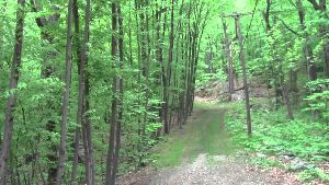 Webster Conservation Area