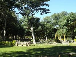 Botanical Garden And Zoo Of Asuncion