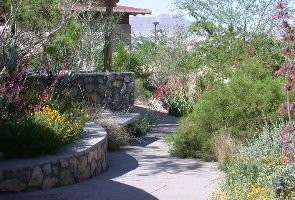 UTEP Centennial Museum And Chihuahuan Desert Gardens