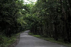 Anshi National Park 