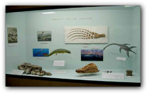 Blaine County Museum