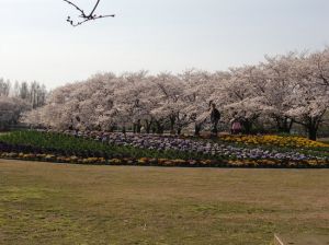 Botanic Gardens of Toyama