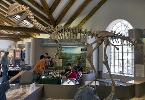 Museum Of Northern Arizona 